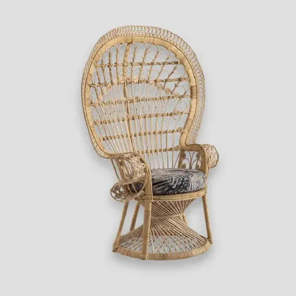 Poltrona Morea in rattan con seduta in tessuto di Dialma Brown
