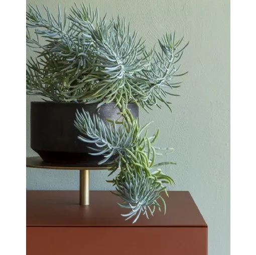 Funzionalità quotidiana e stile naturale