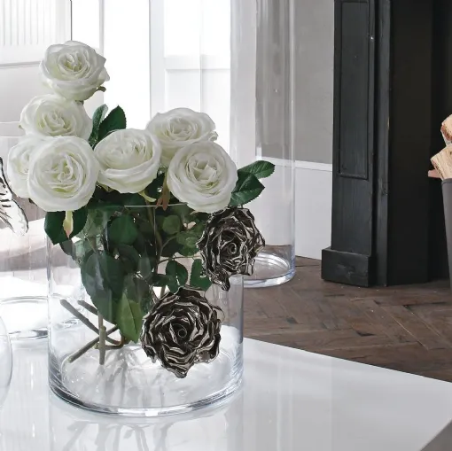 Illusion rose Collection