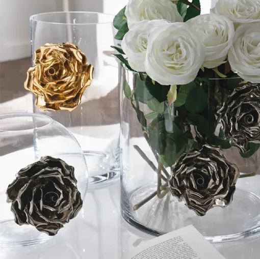 Illusion rose Collection